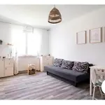 Jana Kazimierza Cozy Studio Apartment