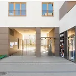 Jana Kazimierza Cozy Studio Apartment
